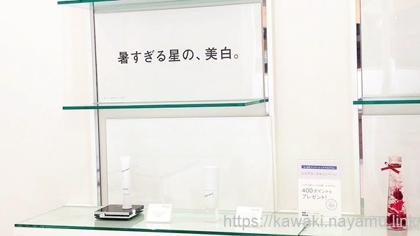 �|�[���z���C�g�V���b�g�̎ʐ^